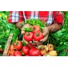 Buy cheap Organic Hydrolyzed Liquid Amino Acid 50% – OMRI Listed Biostimulant for Global Organic Farms from wholesalers