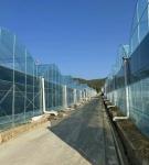 US Currency JX-A0023 Multi-Span Film Greenhouse for Planting Tomota Cucumber