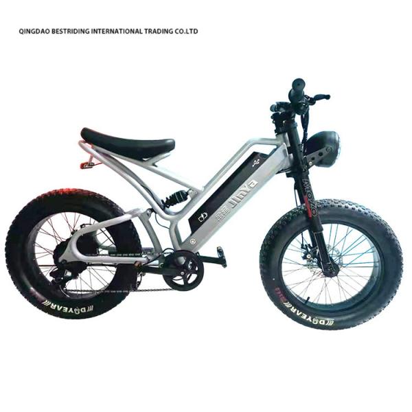 Buy cheap Front Fork Suspension 20 Inch Electric City Bike For Urban Commuters 48V Ebike from wholesalers