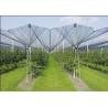 Buy cheap Plant Anti Hail Nets / Agriculture net With UV Protection , Dark Green from wholesalers