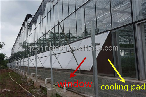 Water Evaporative Cooling Pad For Chicken Farm Hot Dip Galvanized Steel Aluminum Frame