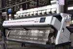 Buy cheap RGB Basmati Rice Color Sorter 640 Channels High Sorting Accuracy 8.3Kw from wholesalers