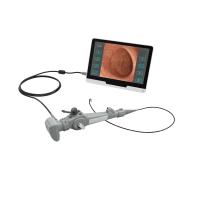 Buy cheap 3.0mm Veterinary Endoscopy Equipment Flexible Pet Bronchoscope product