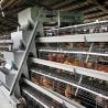 Buy cheap Hot Dip Galvanized Egg Layer Chicken Cage A Type Battery 96 Birds 128 Birds Poultry Farm from wholesalers
