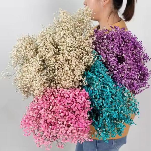 100g Dried Flower Artificial Bouquet Baby Breath Gypsophila Flower Wedding Decor