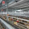 Buy cheap ISO9001 Hot Dipped Cages For Broiler Chicken A Type 61*50*44cm from wholesalers