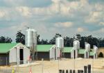 Sheeppen Poultry House Shed Steel Agricultural Building Construction Fire