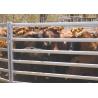 Buy cheap 40x80mm Oval Tube Livestock Fence Panels Galvanized Corral Farm Equipment from wholesalers