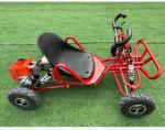 GO-Karts Adult off-road kart, fuel kart，Kincardine car support OEM