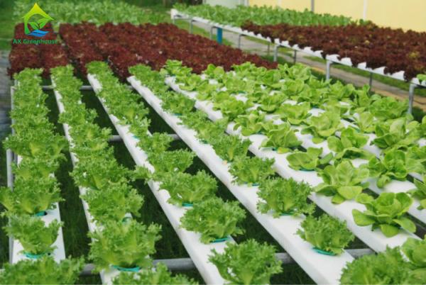 Buy cheap Nontoxic PVC Soilless Culture System Vertical Hydroponic Growing Irrigation Equipment from wholesalers
