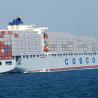 Buy cheap Direct Global Crafts Drop Shipping Agent Dhl FCL Shanghai To Singapore International Marine Transport from wholesalers