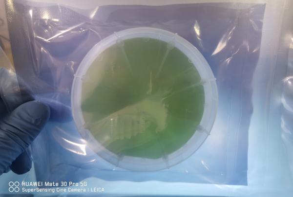 Buy cheap 350um Thickness 4h-N 4H-SEMI SIC Silicon Carbide Wafer For Epitaxial from wholesalers