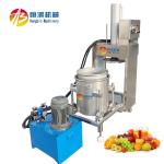 304 Stainless Steel Hydraulic Cold Press Juicer for Commercial of Grape and