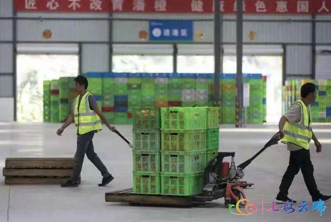PP Vegetable Packing Plastic Moving Box Containers Crate Stackable Foldable Crate