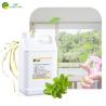 Buy cheap Luxury Mint Scent Home Car Fragrance Oil For Perfume Branded Air Freshener Fragrance from wholesalers