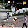 Buy cheap Strong Bungee Shock Absorbing Dog Leash 4 In 1 Multifunction With Car Seat Belt from wholesalers