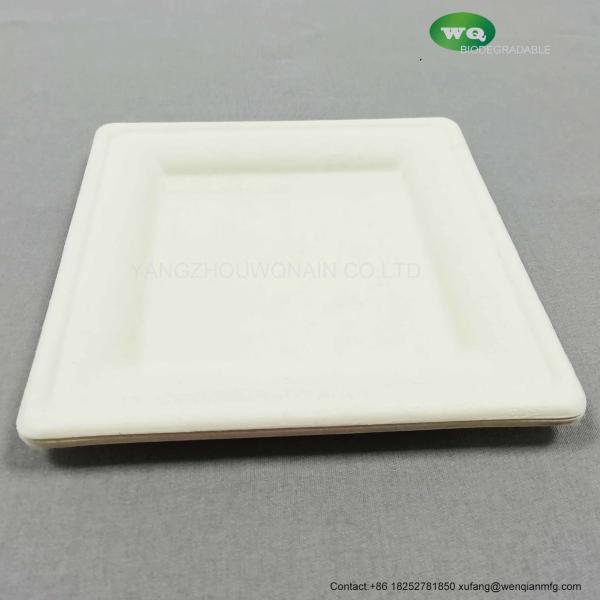 Elegant Sugarcane Square Plate-6 inch/8inch/10 inch,100% natural plant fiber