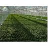 Buy cheap Modern Agricultural Steel Buildings Customized Steel Structure Greenhouse from wholesalers