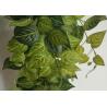 Buy cheap 38" Faux Tree Branches Artificial Devil'S Ivy Hanging Plants Nearly Natural Green from wholesalers