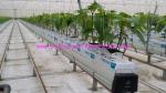 Twisted Gardening Greenhouse Packing String Tomato Tying Twine 2kg-5kg Rolls
