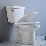 Western Two Piece Toilet Double Piece Commode Silence Slow Down Cover