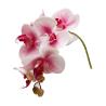 Buy cheap Plastic simulation 3D butterfly orchid wedding decoration, petal props, fake flowers, small flower bundles, butterfly orchid simulation flowers from wholesalers