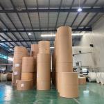 Offset PE Laminated Paper 230gram Flexographic Paper Cup Roll