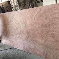 Buy cheap Furniture 610x2440mm Moisture 8% Sapele Faced Plywood product