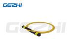 Buy cheap FTTX MTP MPO Trunk Multimode Fiber Patch Cable 12 - 144 Cores OS2 from wholesalers