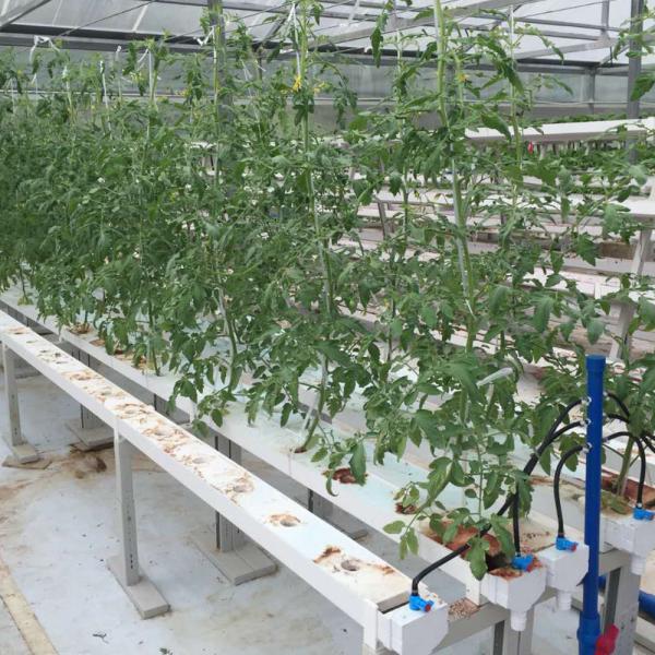 Buy cheap Agriculture Farming Pipe PVC Square Soilless Hydroponic NFT Growing Systems For Greenhouse from wholesalers