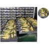 Buy cheap 300Kg Electric Heating Industrial Vacuum Freeze Drying Machine from wholesalers