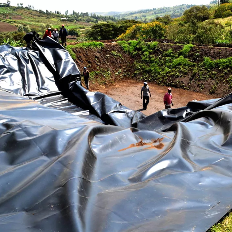 Double Smooth HDPE Waterproofing Plastic Geomembrane Sheet for Aquaculture Fish Pond Liner