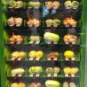 Buy cheap Salad Fruit Vegetables Automatic Vending Machine School Lunch Small Vending Machines from wholesalers