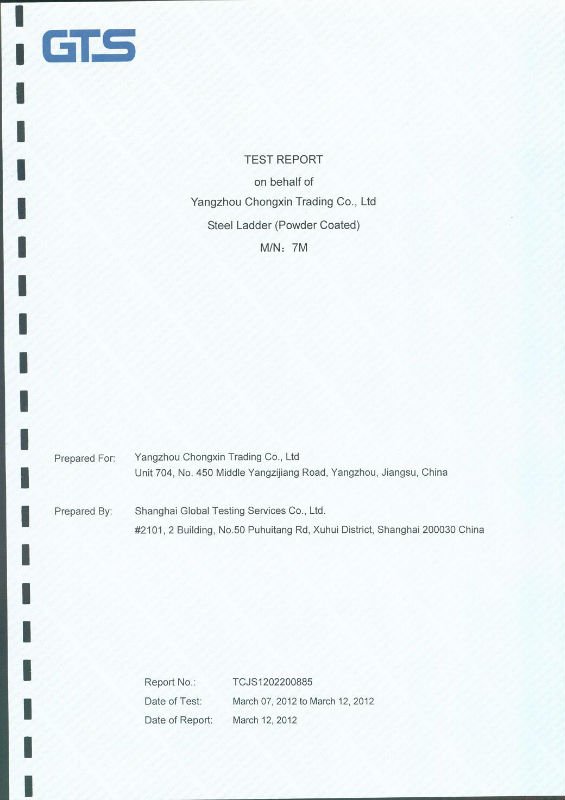 Steel Ladder (power coated square) Test Report
