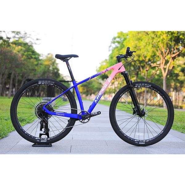 Buy cheap Aluminum Alloy Rim 24 Speed 29 Inch Carbon Mountain Bike for Mountain Adventures from wholesalers