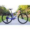 Buy cheap Aluminum Alloy Rim 24 Speed 29 Inch Carbon Mountain Bike for Mountain Adventures from wholesalers