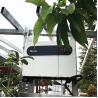 Buy cheap Technology Wholesale Price Growatt 3 Phase Inverter Solar Hybrid System 150Kw Inverter With Battery Growatt Solar Inverter from wholesalers