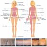 Buy cheap Alexandrite Stationary DPL Laser Hair Removal 808nm Alma Hair Removal Laser from wholesalers