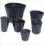 PE black nursery pot blow pots flower pot