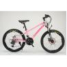 Buy cheap Steel Frame 20 Inch WANDA 20*2.125 Tyre Children Bicycle For Durable 21 Speeds MTB from wholesalers