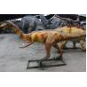Buy cheap Life Size Realistic Animatronic Customized Gallimimus Dinosaur Yard Statue from wholesalers
