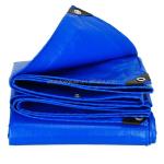PE Coated Professional Manufacture Outdoor Tarpaulin Sheet for Waterproof