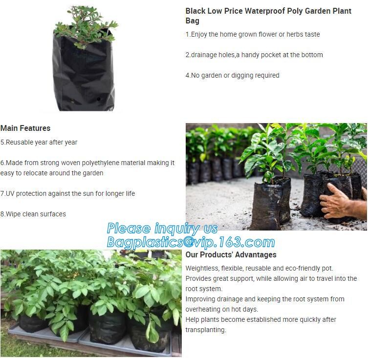 1 gal 2 gal 3gal 5gal 10gal black plastic grow planting greenhouse vegetable nursery bags,garden plant growing bag, bage