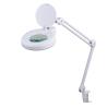 Buy cheap Eco Lighting Floor Standing Magnifying Lamp Articulating With Univeral Casters from wholesalers