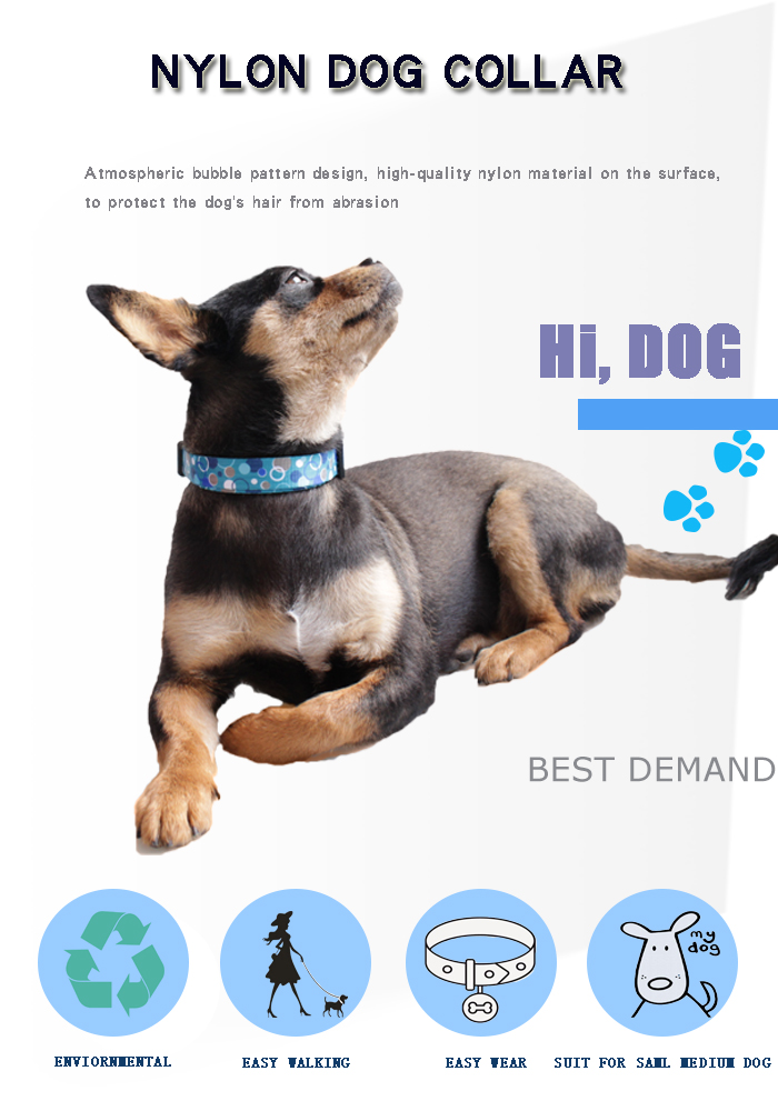 C606 Wholesale Luxury Pattern Adjustable Floral Nylon Decorative Dog Products Custom Logo Dog Collar