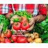 Buy cheap Organic Matter 50% Amino Acid Biostimulant Plant Nutrition for Sustainable Farming and Agriculture from wholesalers