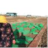Buy cheap Made Parking Lot Road HDPE Grass Paving Grids for Noble Living Community Roof Garden from wholesalers