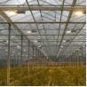 Buy cheap Stability Venlo Type Greenhouse / High Standard Venlo Glasshouse Good Appearance from wholesalers