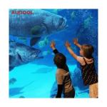 Fashion Design Piscina Pvc Adult Children Durable Inflatable Acrylic Frame