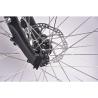 Buy cheap 6 Speed Mid Drive Step Through Electric Mountain Bike 750W 150G Aluminum Frame from wholesalers